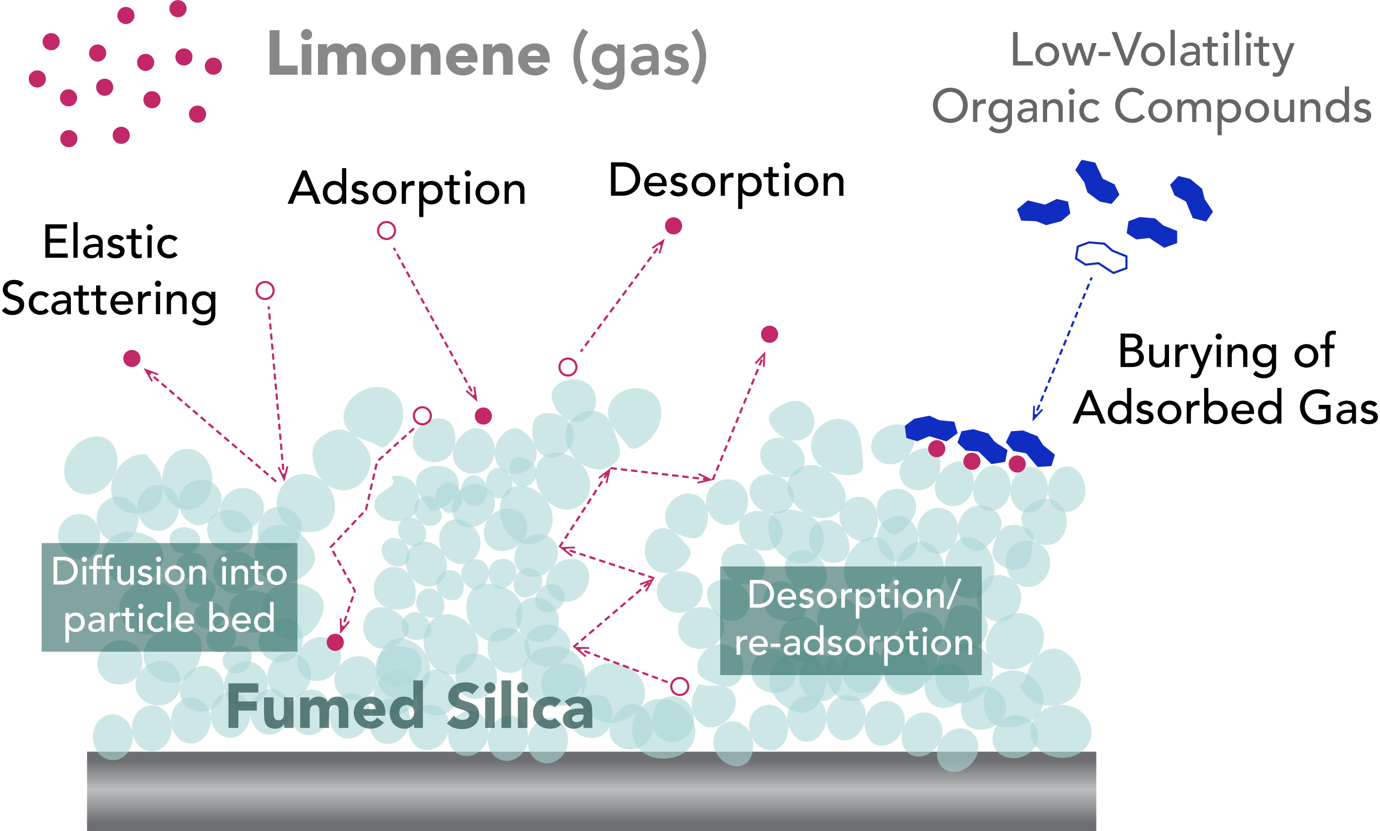 Graphical summary of limonene uptake and desorption on silica surfaces