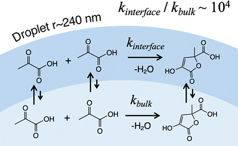 Graphical summary of accelerated zymonic acid formation from pyruvic acid at nanodroplet interfaces
