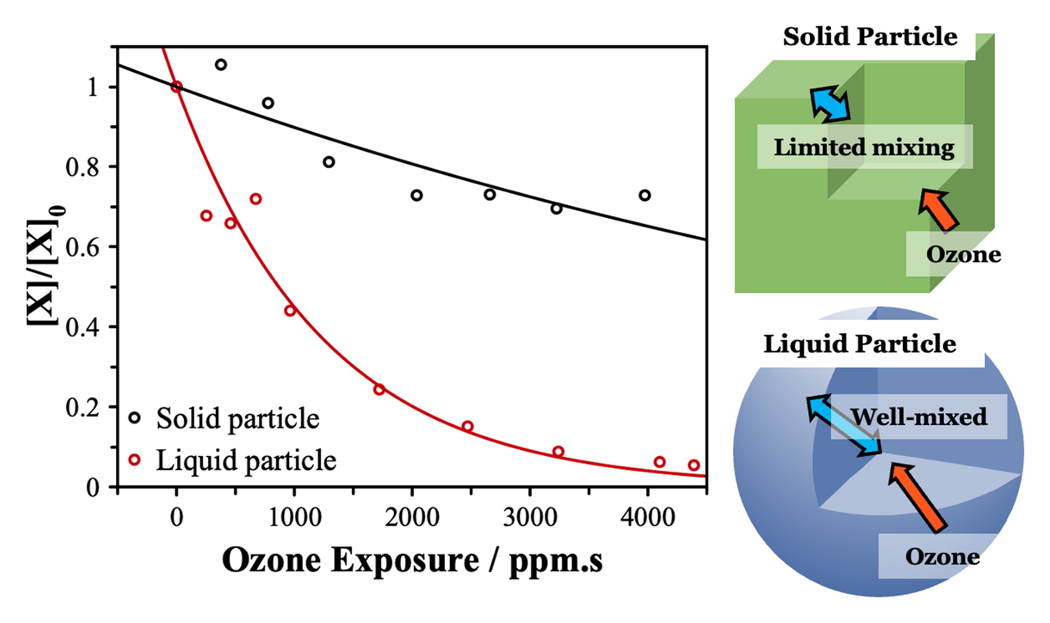Graphical summary of ozonolysis of oleic and elaidic acid across particle phases